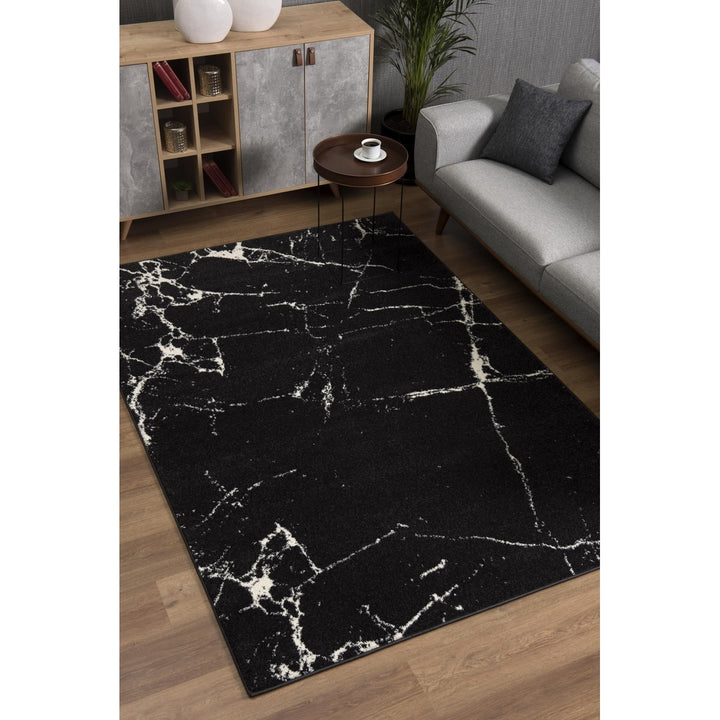 4 X 6 Black And White Abstract Breakage Area Rug Image 7