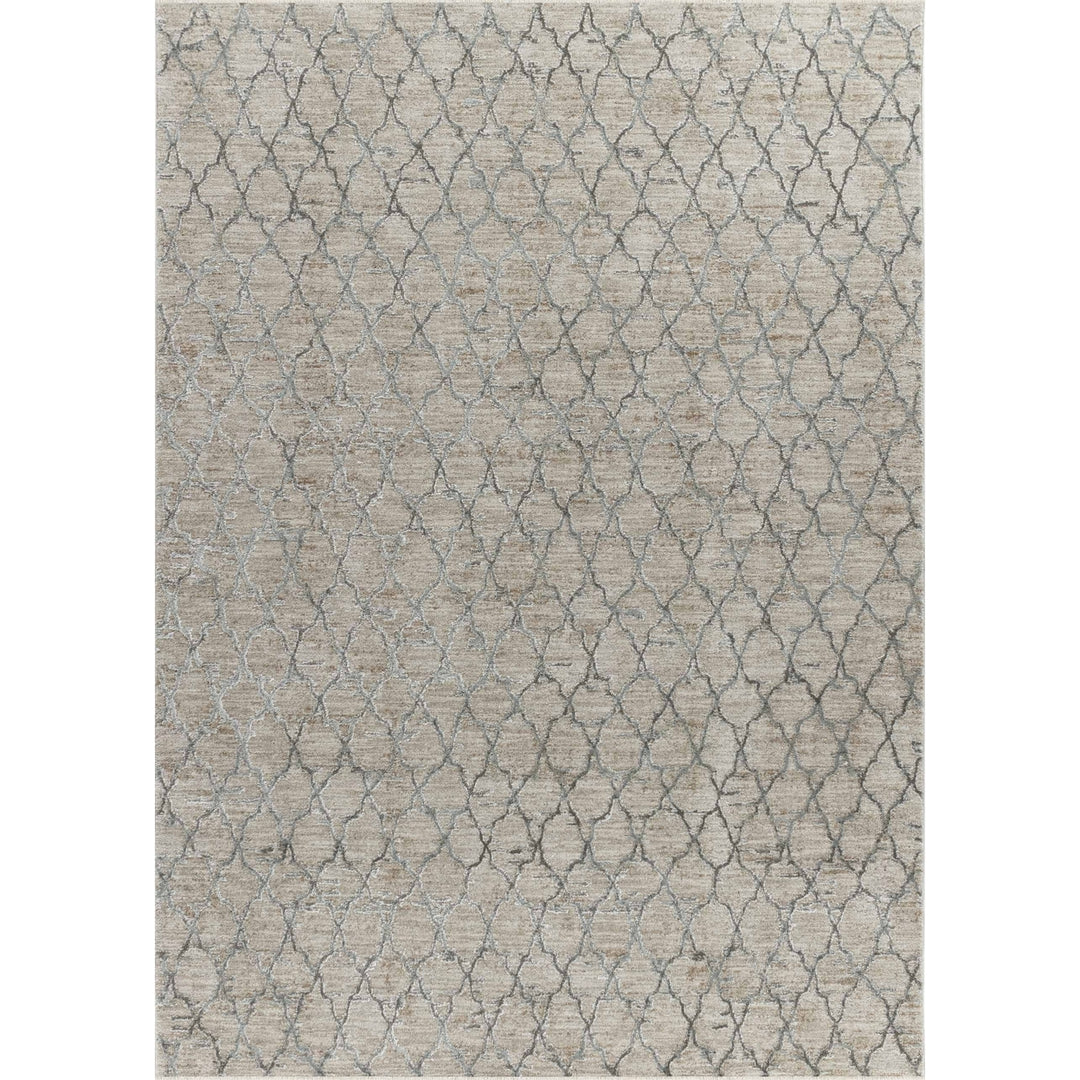 5 X 8 Beige Moroccan Stain Resistant Area Rug Image 2