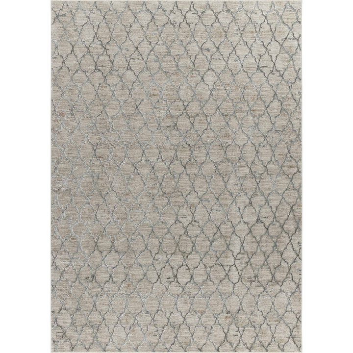 5 X 8 Beige Moroccan Stain Resistant Area Rug Image 2