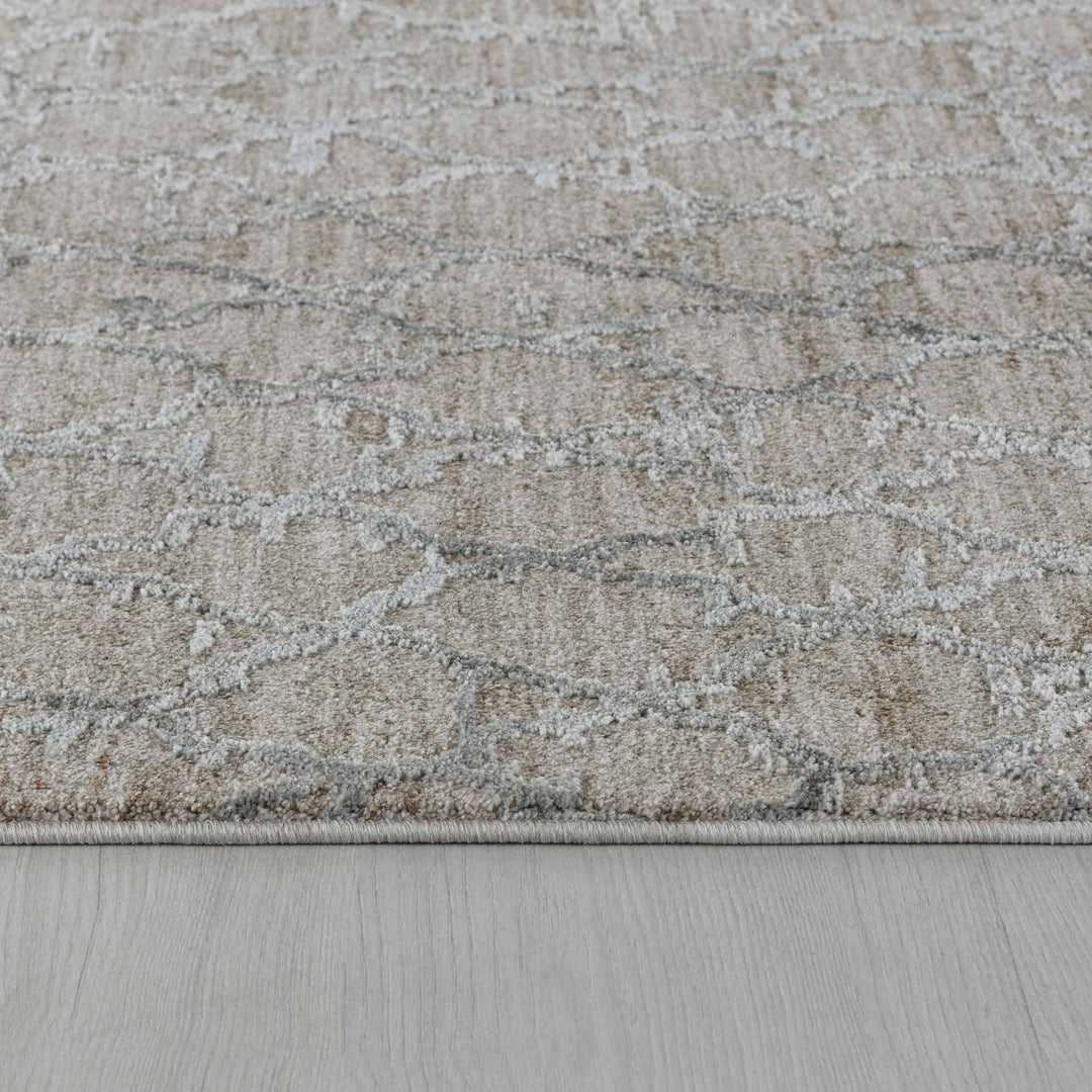 5 X 8 Beige Moroccan Stain Resistant Area Rug Image 5