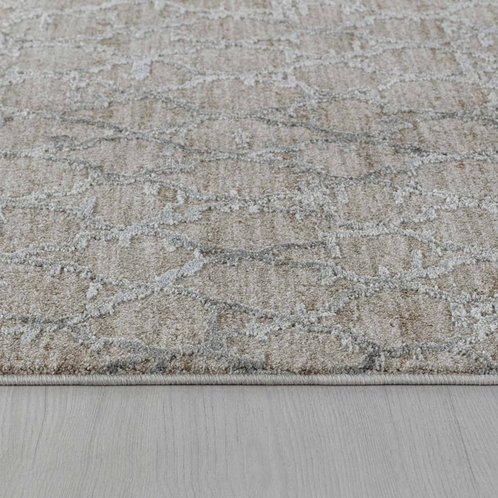 5 X 8 Beige Moroccan Stain Resistant Area Rug Image 5