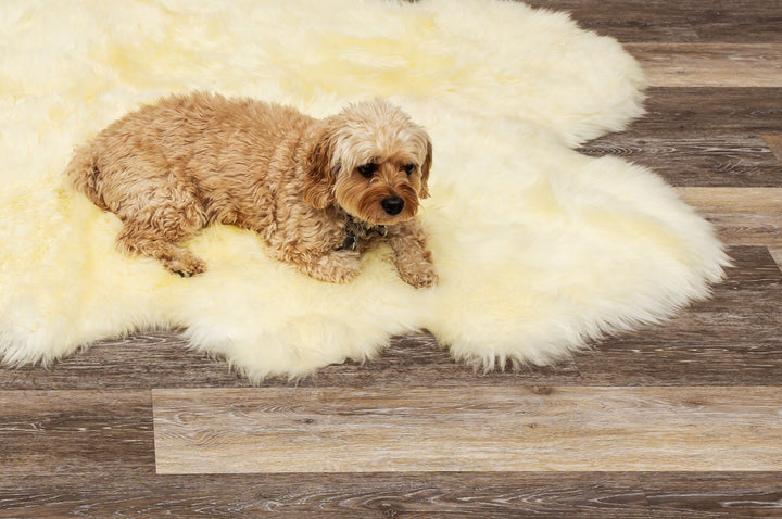 6 X 6 Natural Sheepskin Non Skid Area Rug Image 4