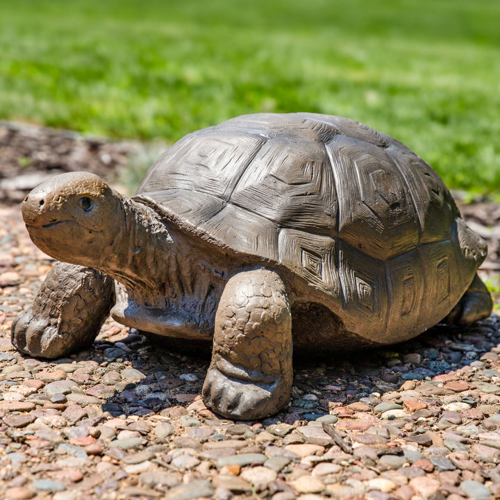 Sunnydaze Talia the Tortoise Indoor/Outdoor Garden Statue - 12 in Image 4