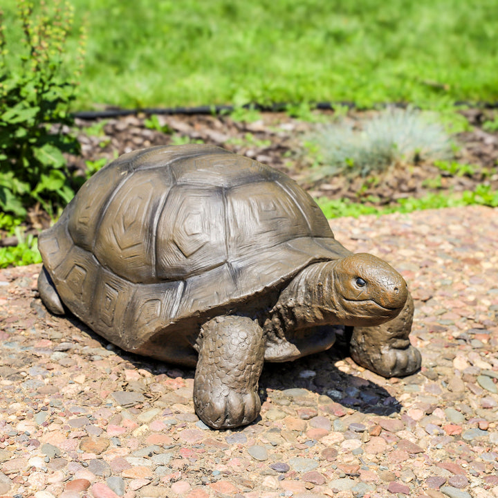 Sunnydaze Talia the Tortoise Indoor/Outdoor Garden Statue - 12 in Image 5