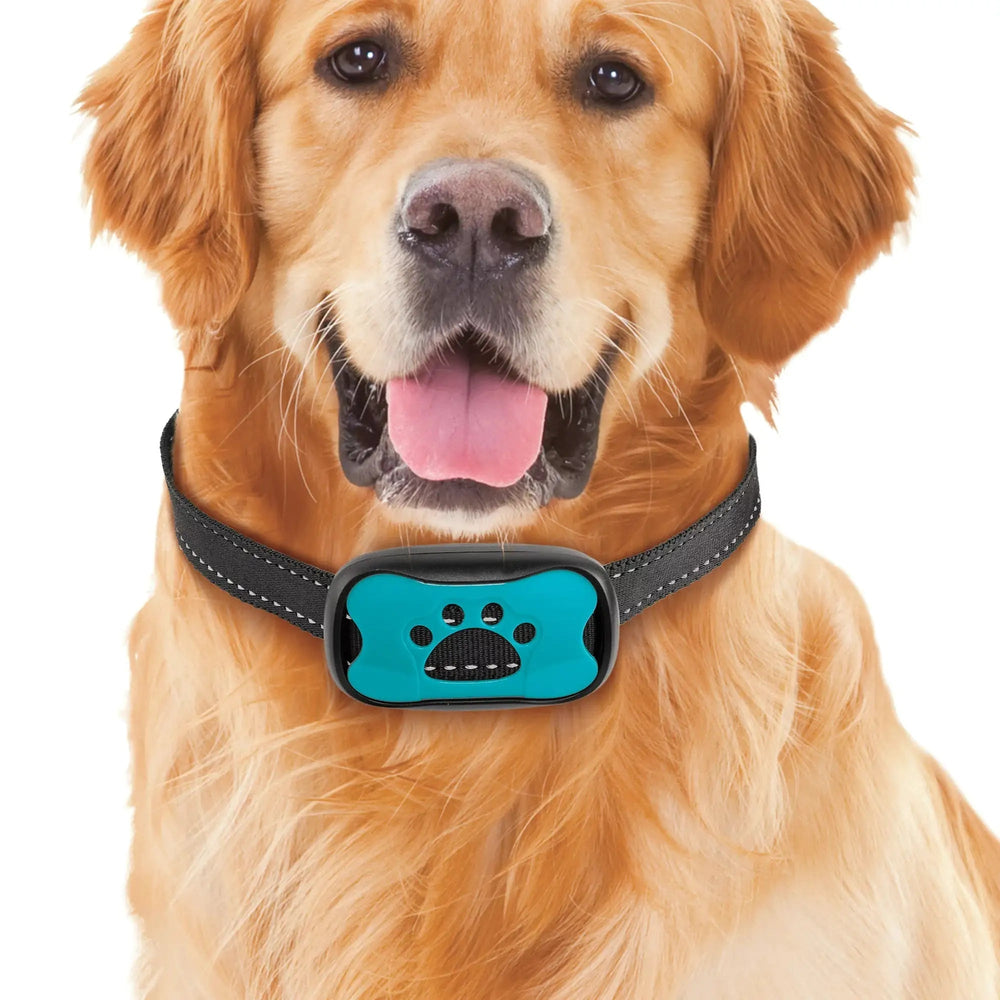 Dogs Anti Bark Collar Image 2