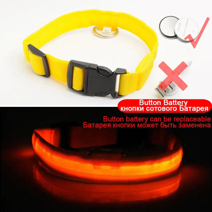 Led Dog Collar Anti-Lost Collar Image 6