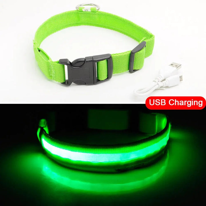 Led Dog Collar Anti-Lost Collar Image 11