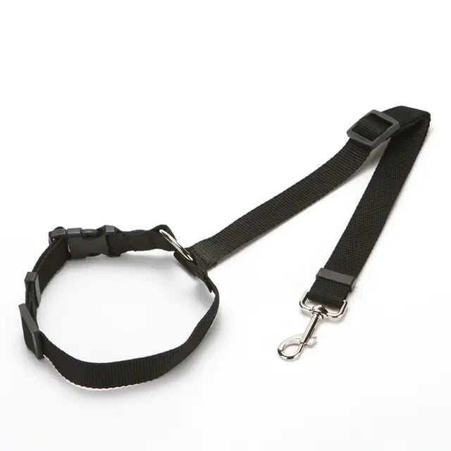 Nylon Dog Seatbelts Image 1