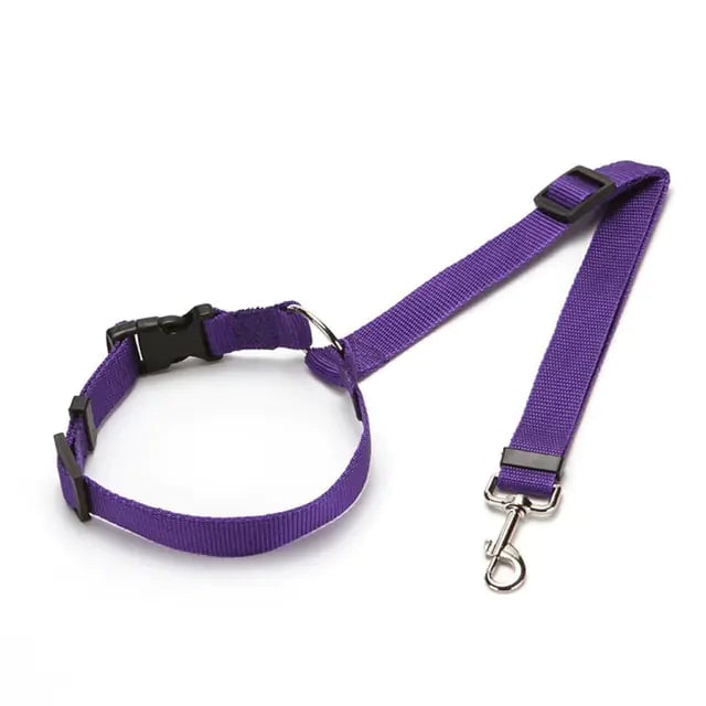 Nylon Dog Seatbelts Image 1