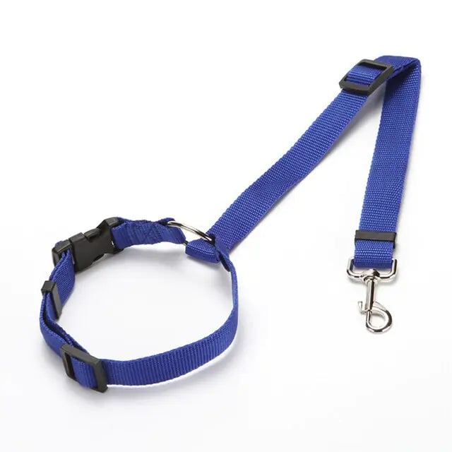 Nylon Dog Seatbelts Image 1