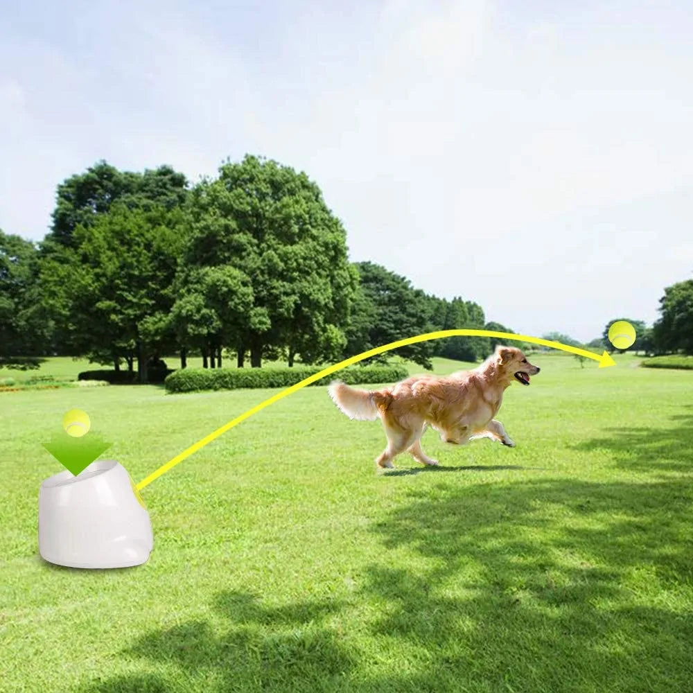 Hyper Fetch Automatic Ball Launcher Image 5