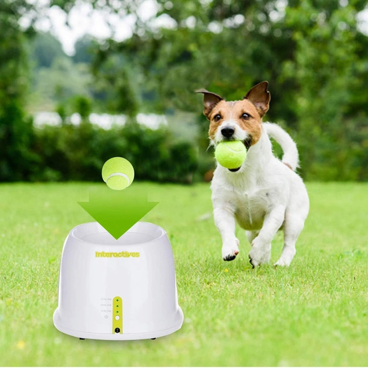 Hyper Fetch Automatic Ball Launcher Image 6