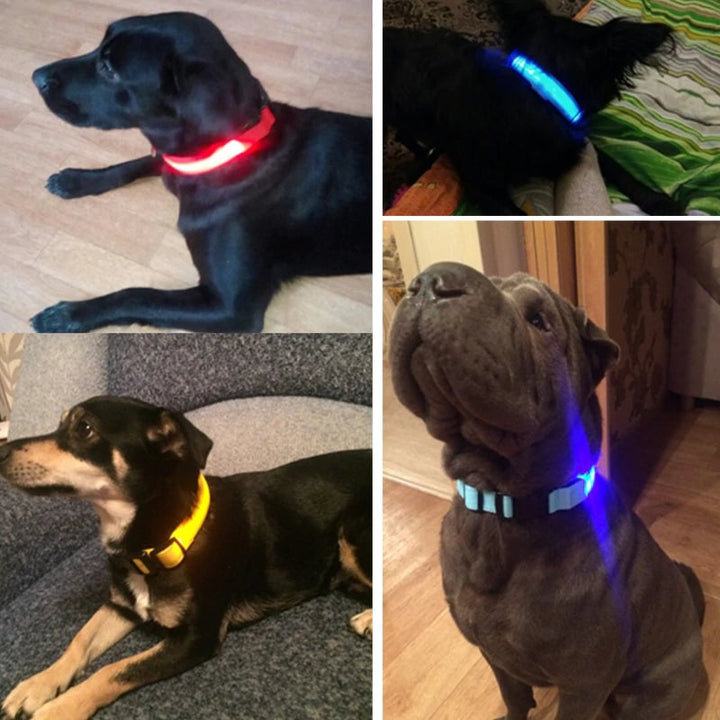 The LED Dog Collar Image 1