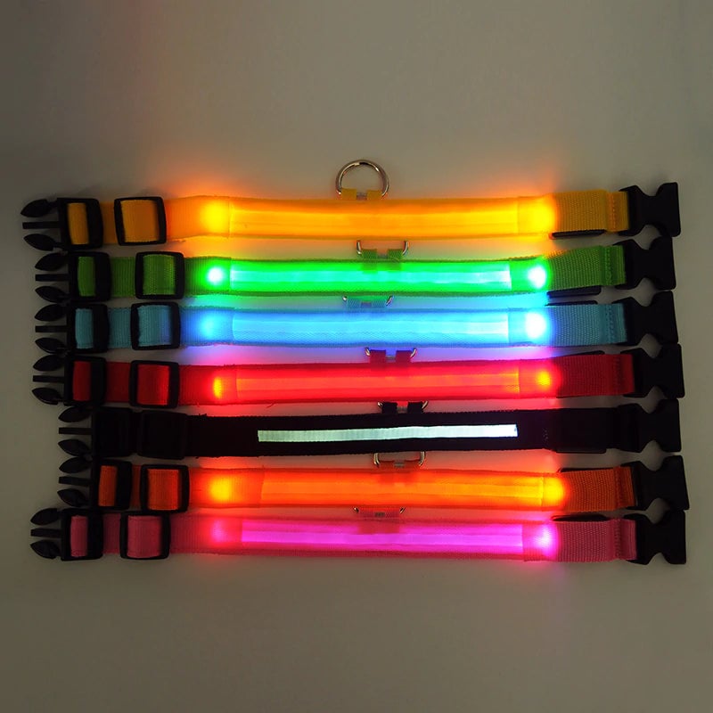 The LED Dog Collar Image 4