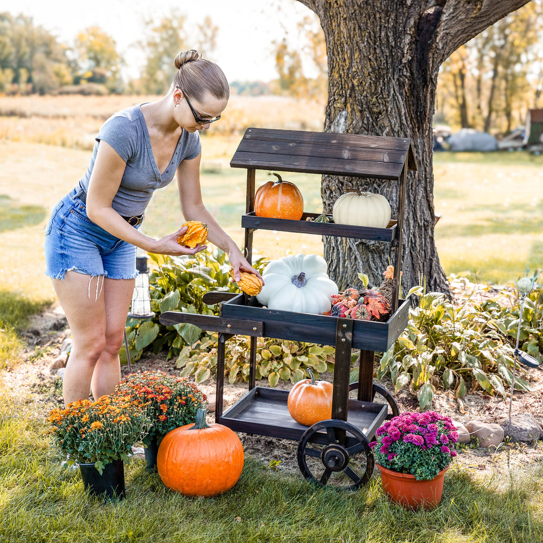 Sunnydaze Country Market Flower Stand Raised Garden Bed - Charred Fir Image 7