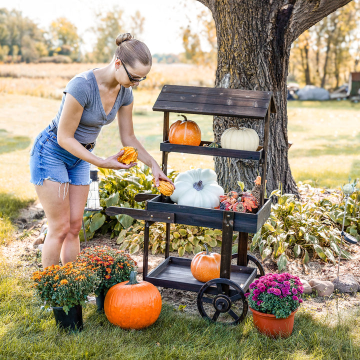 Sunnydaze Country Market Flower Stand Raised Garden Bed - Charred Fir Image 7