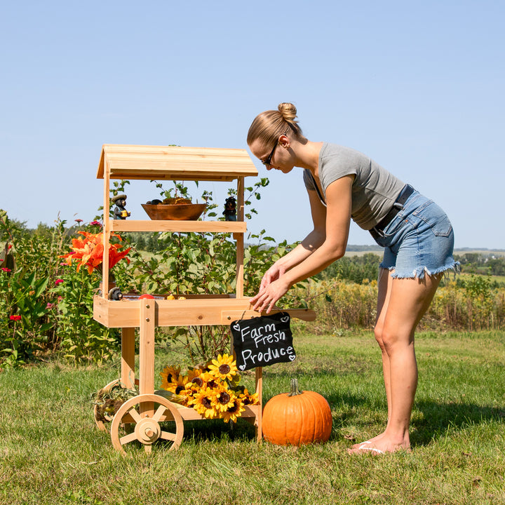 Sunnydaze Country Market Flower Stand Raised Garden Bed - Natural Fir Image 6