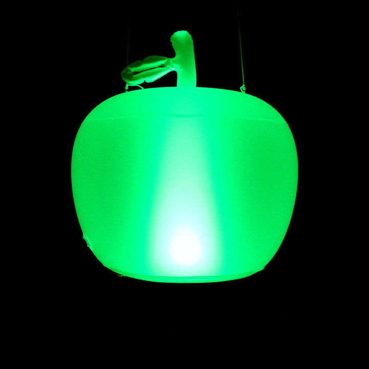 16 Color LED PVC Inflatable Ball/Avocado/Apple Shape Landscape Light Hanging Gargen Light Remote Control Waterproof Pool Image 7