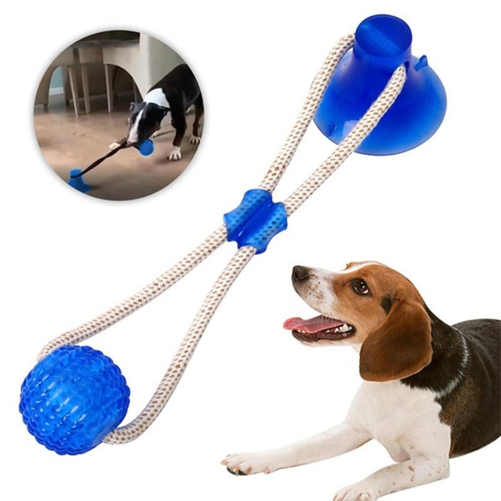 Multi-function Pet Molar Bite Toy with Suction Cup Pet Supplies Rubber Ball Pet Toys Image 1