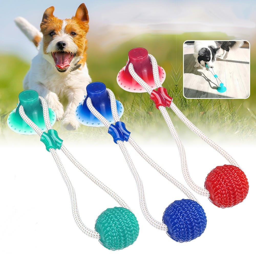 Multi-function Pet Molar Bite Toy with Suction Cup Pet Supplies Rubber Ball Pet Toys Image 4