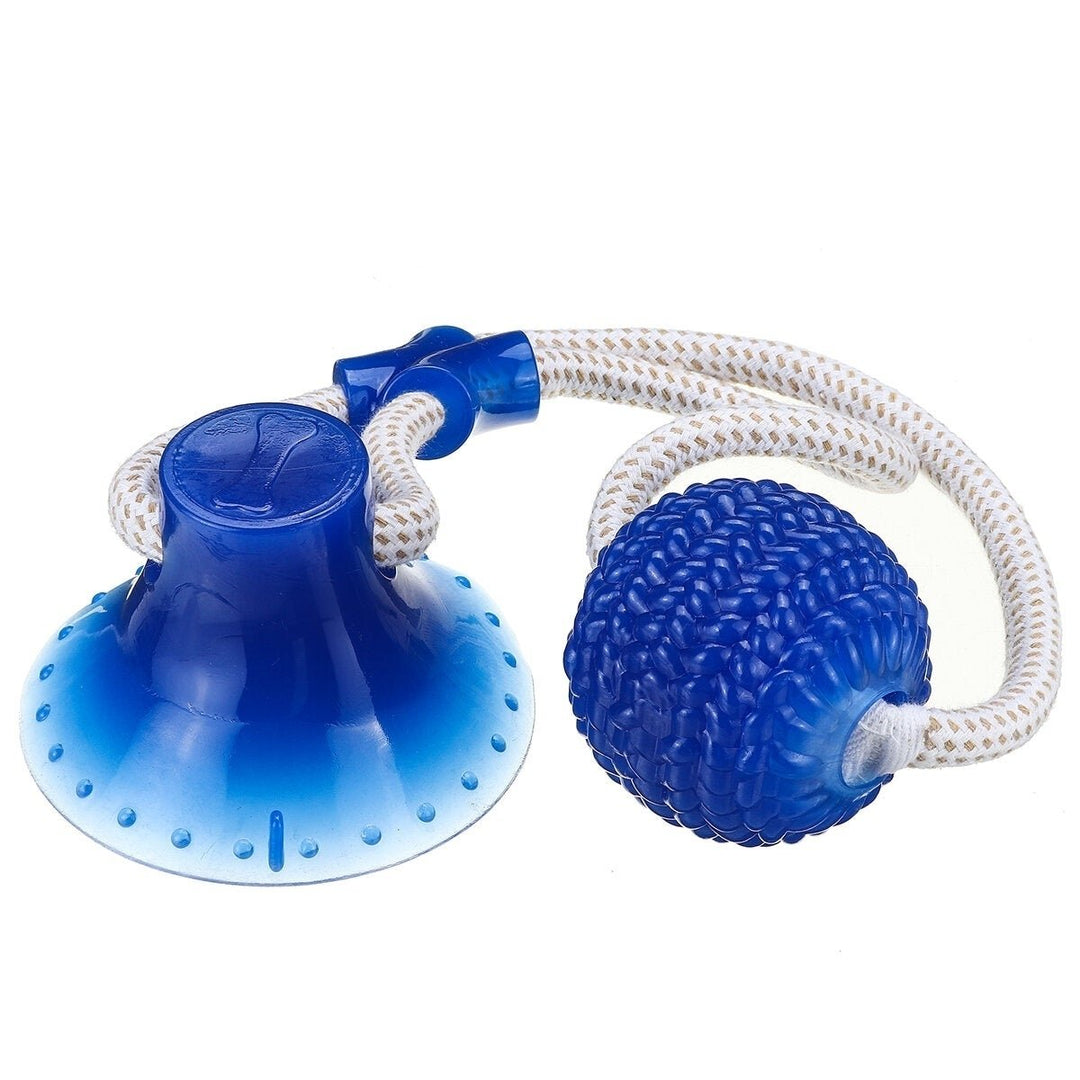 Multi-function Pet Molar Bite Toy with Suction Cup Pet Supplies Rubber Ball Pet Toys Image 7