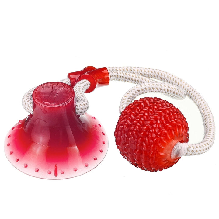 Multi-function Pet Molar Bite Toy with Suction Cup Pet Supplies Rubber Ball Pet Toys Image 8