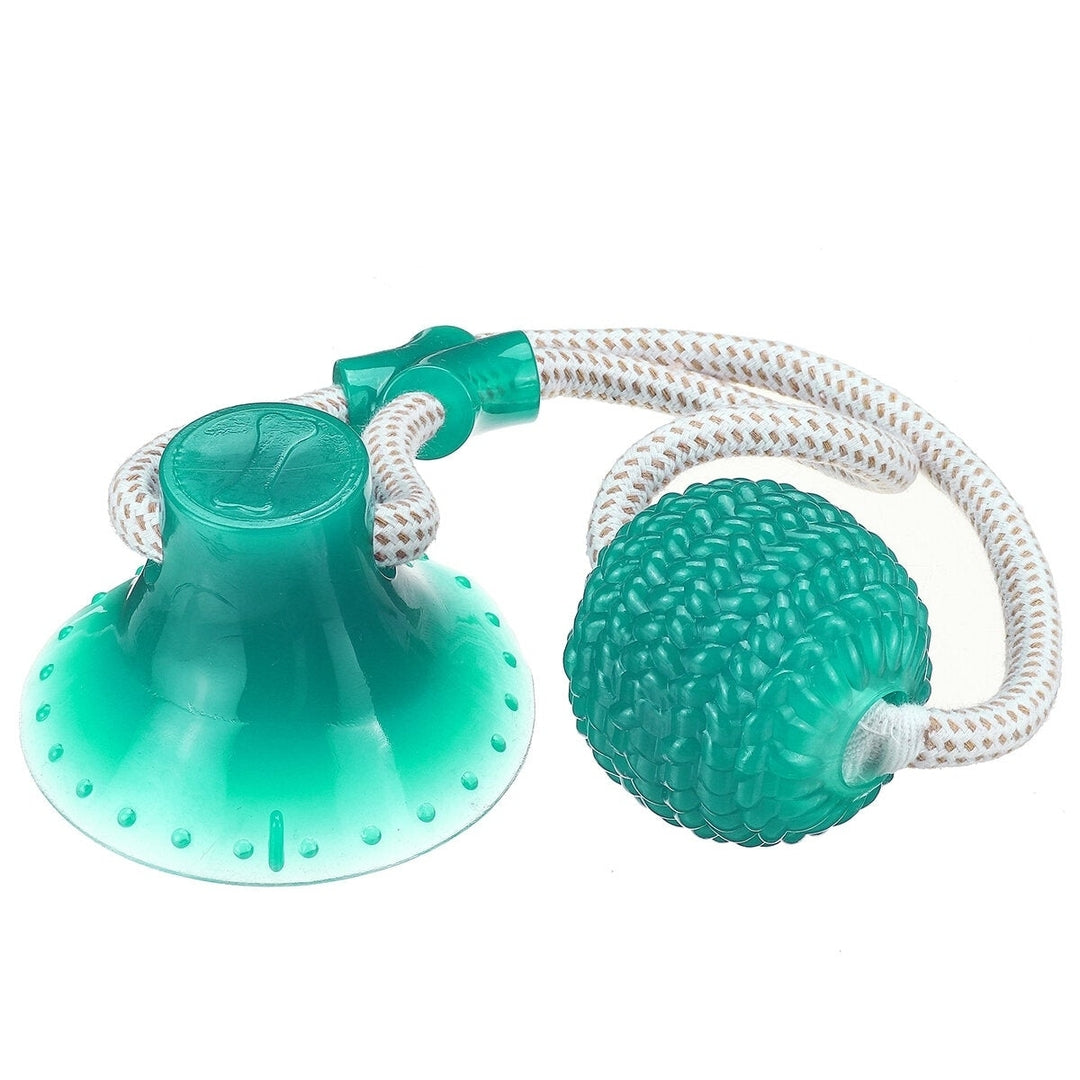 Multi-function Pet Molar Bite Toy with Suction Cup Pet Supplies Rubber Ball Pet Toys Image 9