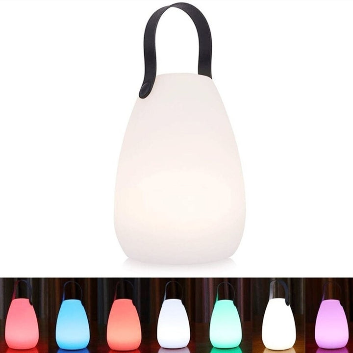 Outdoor Indoor Waterproof Light Up Portable LED Decorative Table Garden Lamps Events Camping Mood Lights with Remote Image 1