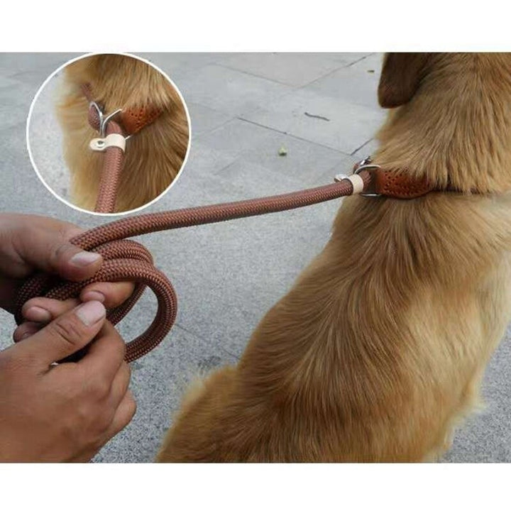 Nylon Pet Lead Adjustable Dog Harness Rope Belt Image 6