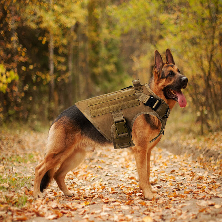 No Pull Harness For Large Dogs Military Tactical Dog Harness Vest German Shepherd Doberman Labrador Service Dog Training Image 9