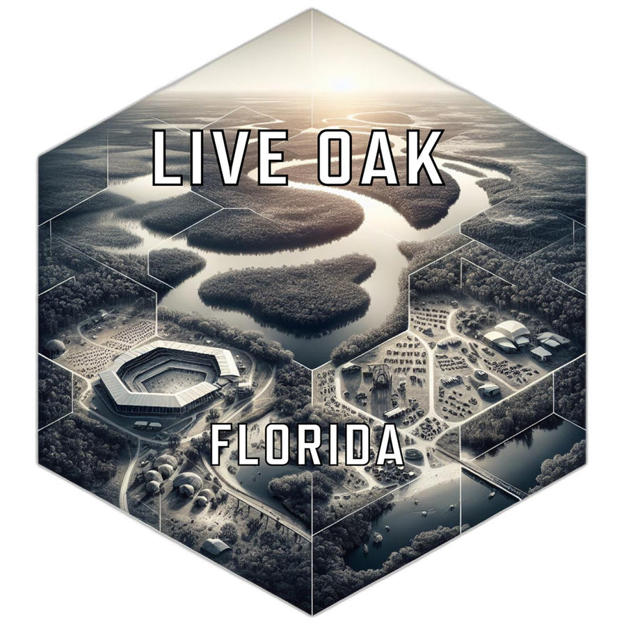 Live Oak Florida Travel Destination Souvenir Vinyl Decal Sticker Image 1