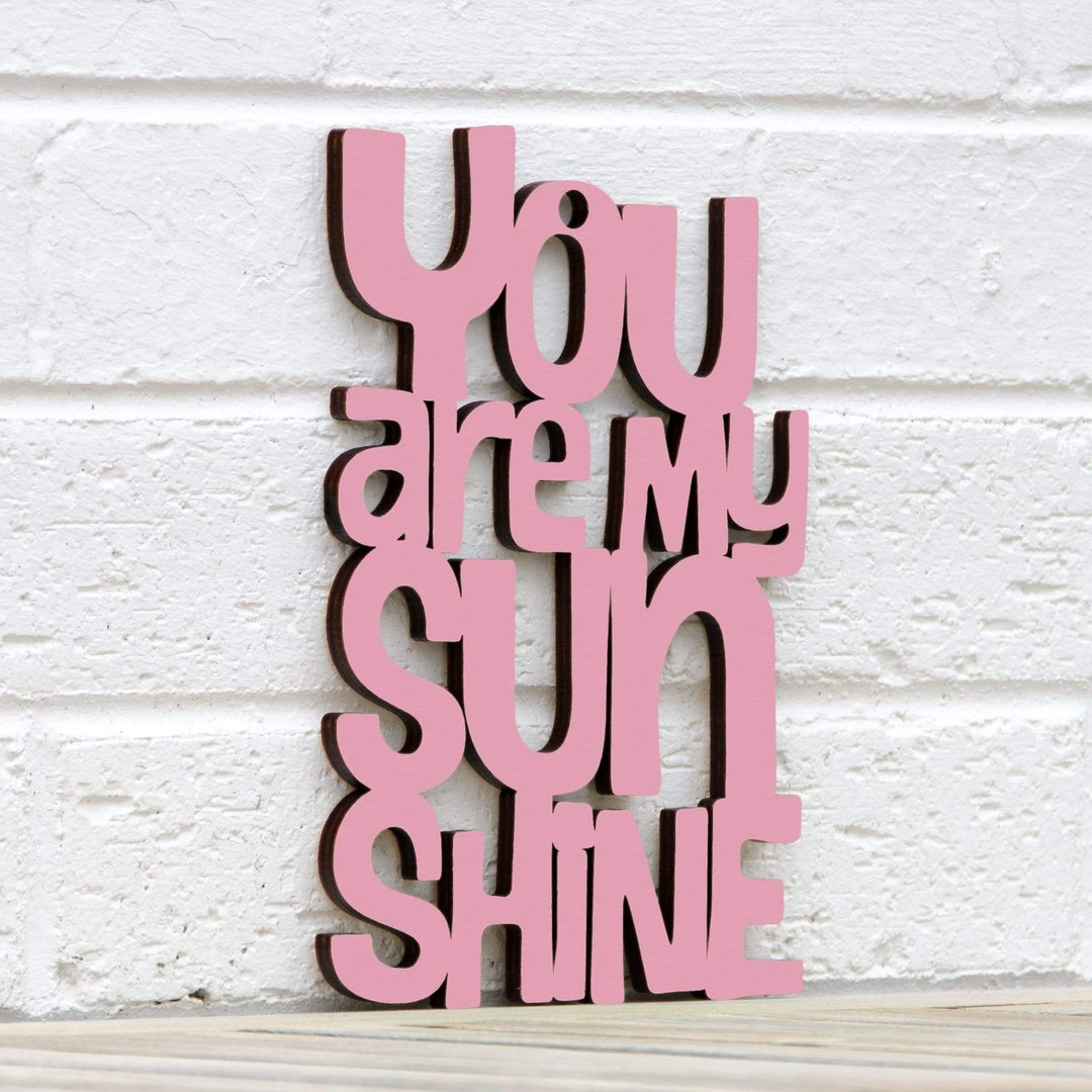 Spunky Fluff You are my Sunshine Decorative Wall Art Sign 15 Colors Image 4