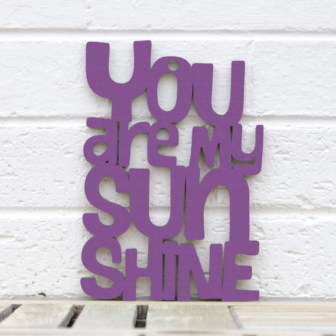 Spunky Fluff You are my Sunshine Decorative Wall Art Sign 15 Colors Image 6