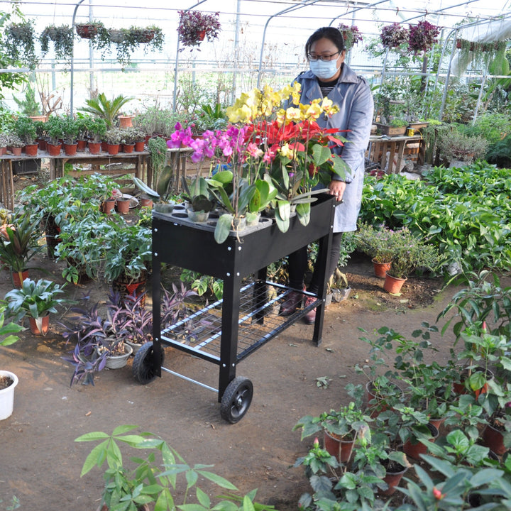 Elevated Metal Garden Bed Cart with Wheels - Tall Planter Box for Indoor and Outdoor Use, Perfect for Growing Vegetables Image 11