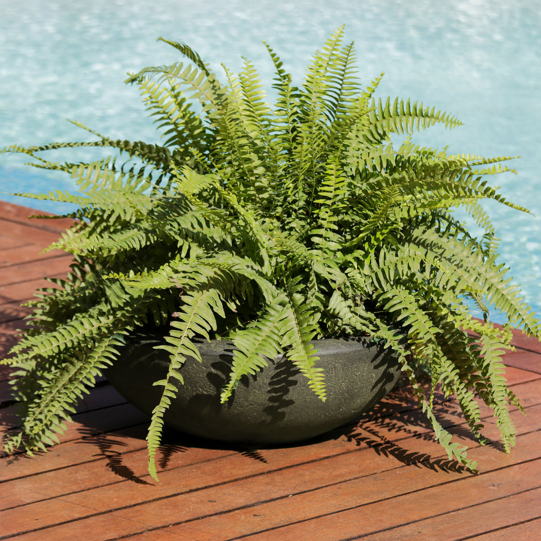 Sunnydaze 20.75 in Percival Round Polyresin Outdoor Planter - Sable Image 4