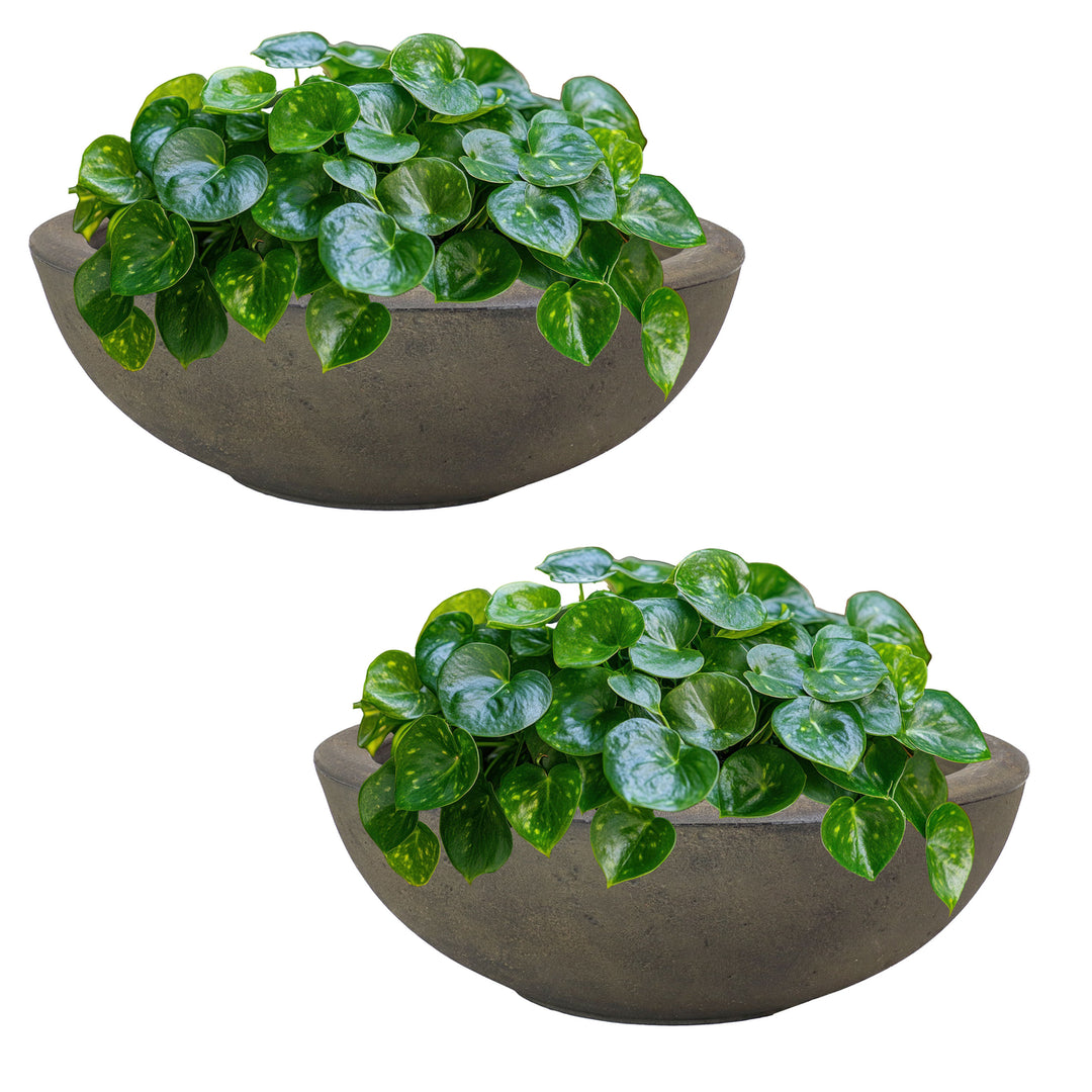 Sunnydaze 20.75 in Percival Round Polyresin Outdoor Planter - Sable - 2pk Image 5