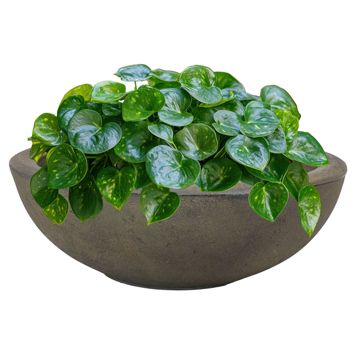 Sunnydaze 20.75 in Percival Round Polyresin Outdoor Planter - Sable Image 5