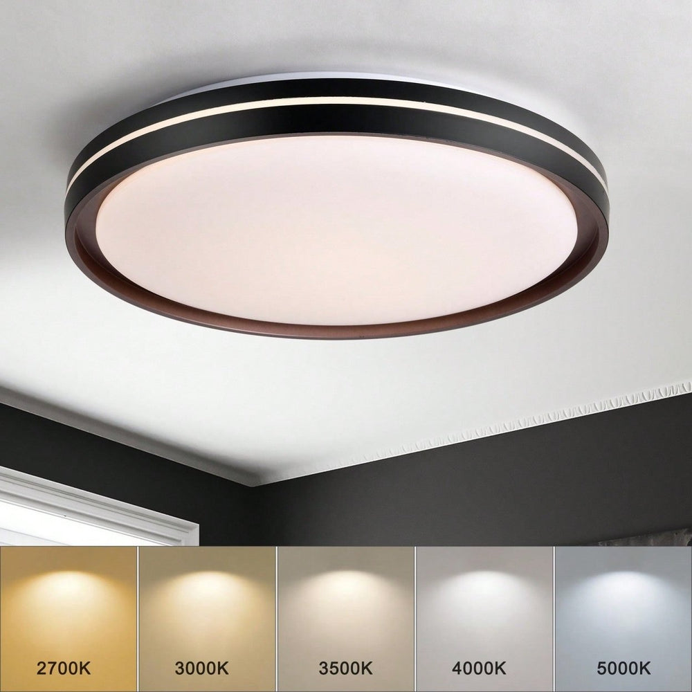 5 Color Modes Dimmable Modern LED Ceiling Light Fixture, 24W 2400LM, 15.75in Close To Ceiling Light For Bedroom Bathroom Image 2