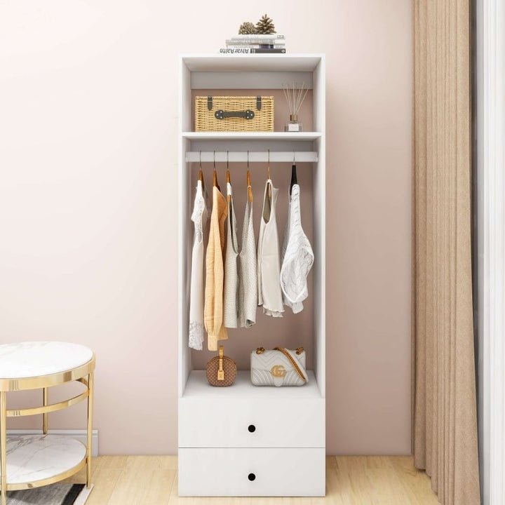 Closet Organizer System Modular: Modern Closet Shelves Wall Mounted or Walk in Closet System Racks and Shelving Built in Image 1