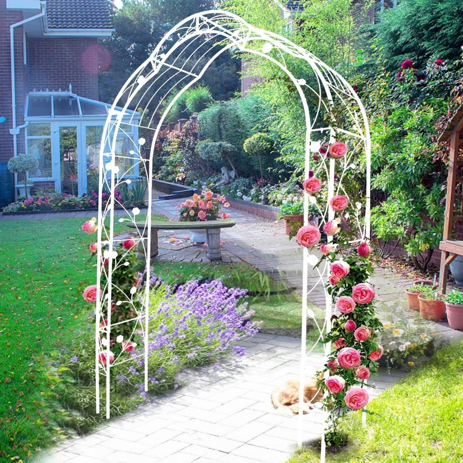 Freestanding Metal Garden Arch with 8 Styles, Climbing Plant Support Image 1