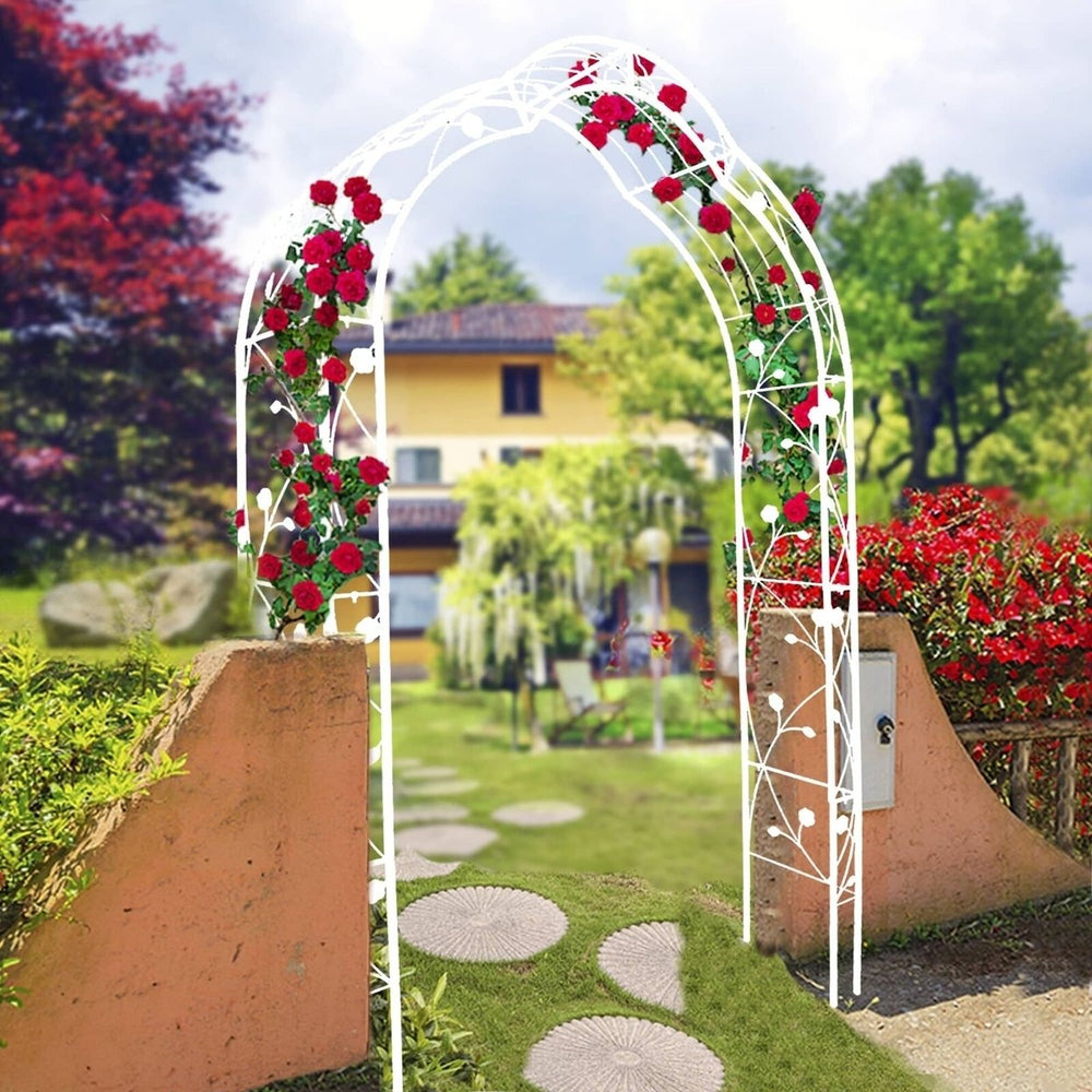 Freestanding Metal Garden Arch with 8 Styles, Climbing Plant Support Image 2