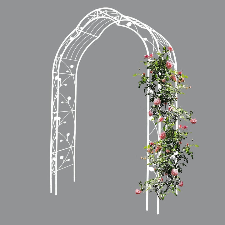 Freestanding Metal Garden Arch with 8 Styles, Climbing Plant Support Image 5