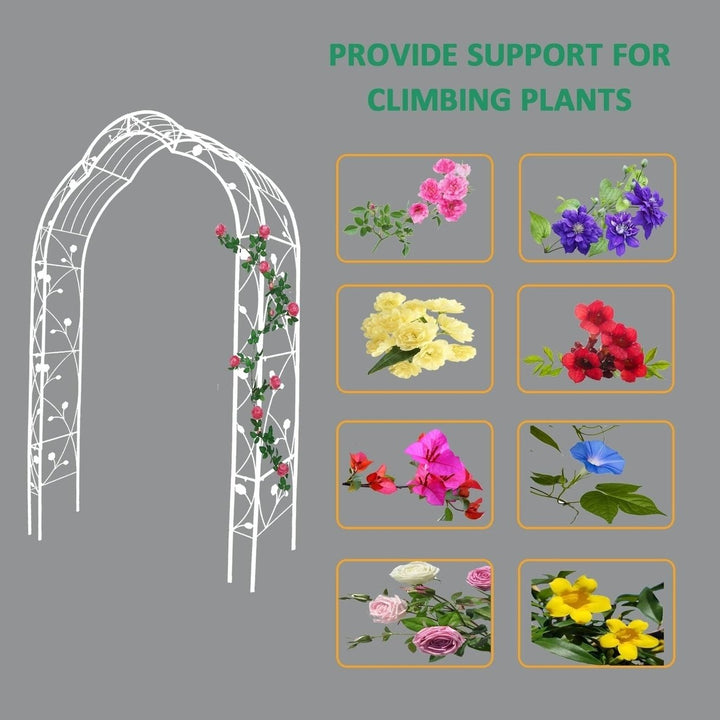 Freestanding Metal Garden Arch with 8 Styles, Climbing Plant Support Image 6