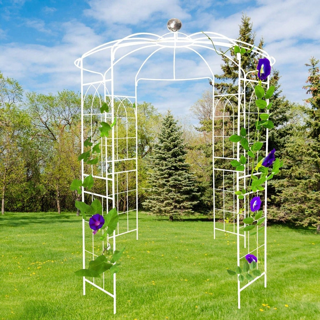 Metal Garden Arch Iron Garden Arbors Gazebo Dia High Birdcage Shape Pergola Pavilion For Wedding Ceremony Image 1