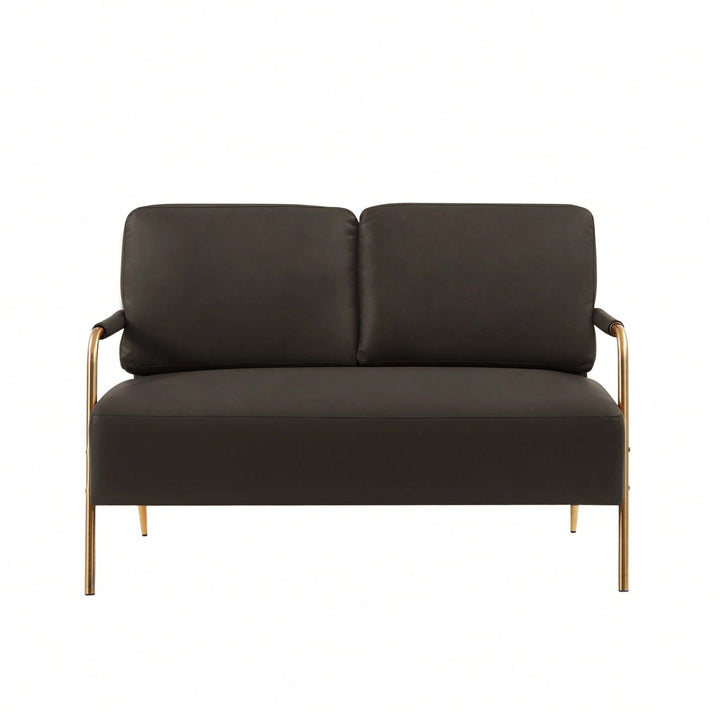 Pet-Friendly Small Loveseat Sofa with Removable Cushions and Metal Legs for Modern Living Spaces Image 3