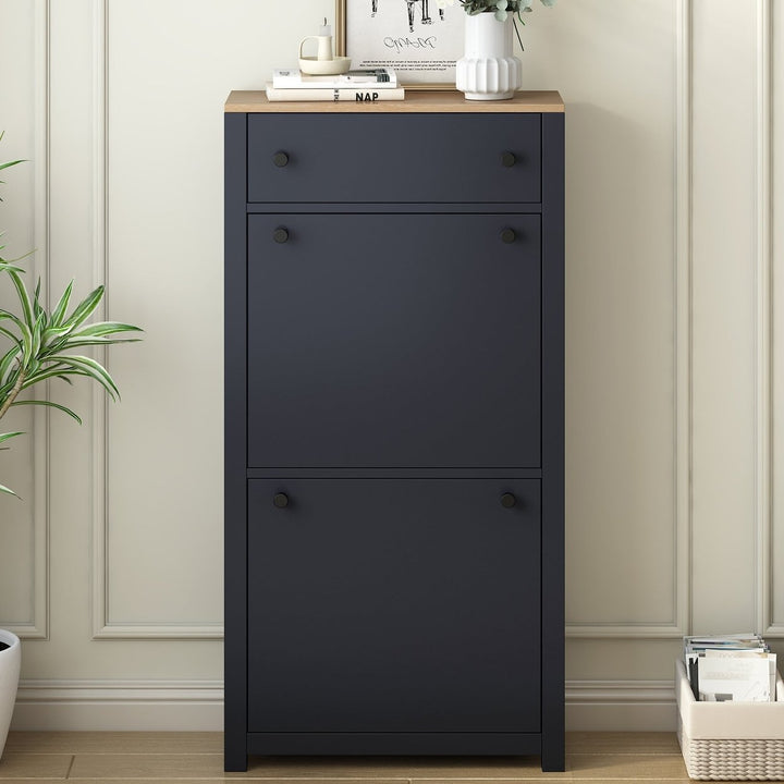 Stylish Entryway Shoe Cabinet with 2 Flip Drawers Adjustable Panel Black Wood Grain Finish Image 2