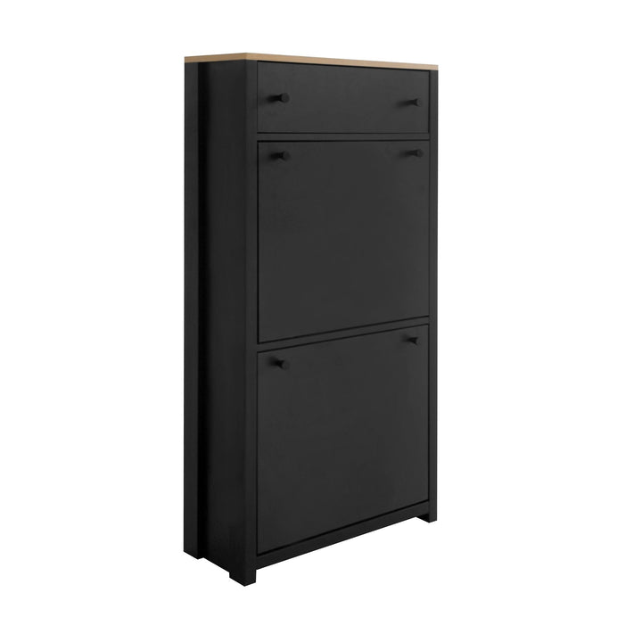 Stylish Entryway Shoe Cabinet with 2 Flip Drawers Adjustable Panel Black Wood Grain Finish Image 10